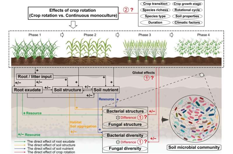 Crop Rotation Boosts Soil Life and Food Security - Image 3
