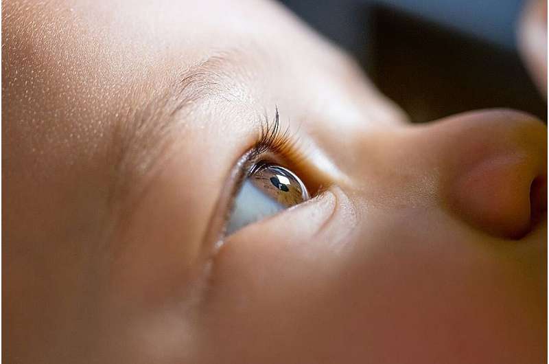 AI Detects Lung Disease in Premature Babies Through Eye Scans - Image 2