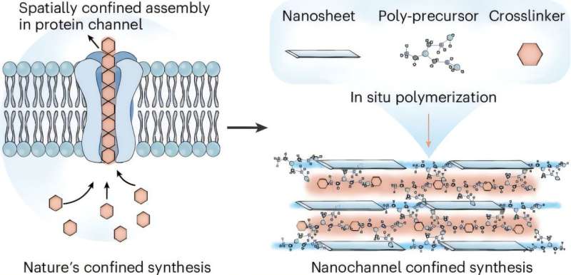 Scientists Double Membrane Strength for Clean Energy Tech - Image 2