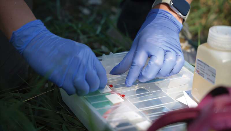 Baby Eagles Track Wisconsin River Pollution From Their Nests - Image 3