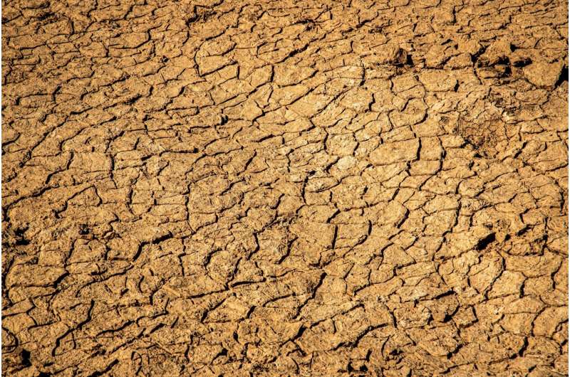 AI Study: 780M Could Avoid Hunger with Climate Action - Image 3