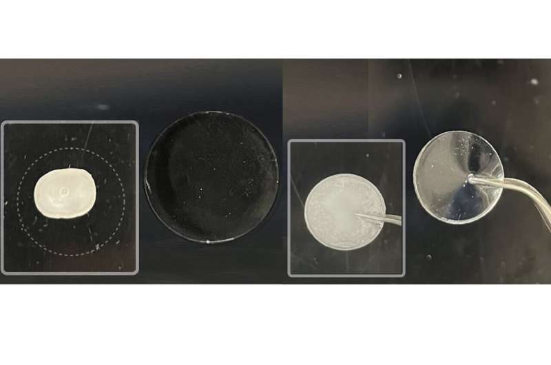 Penn State's Eel-Inspired Gel Battery Works at -112°F - Image 3