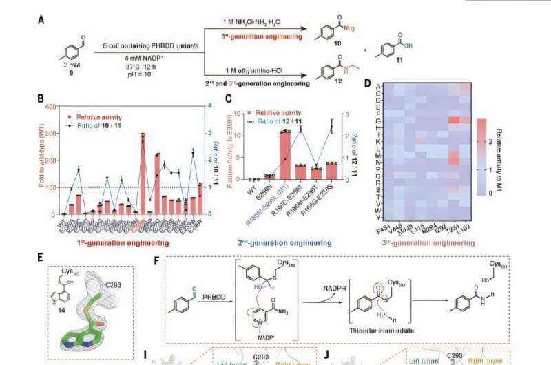 Scientists Create Greener Way to Make Life-Saving Drugs - Image 3