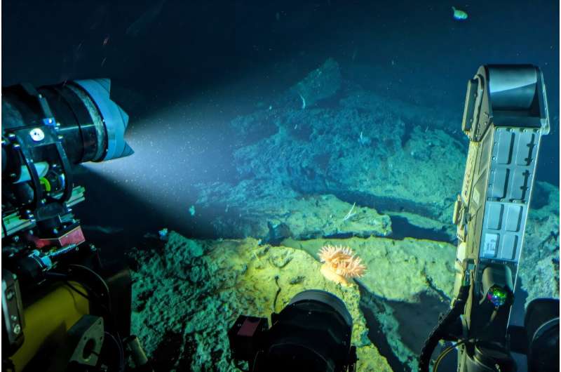 High-Tech Research Ship Makes Ocean Science Accessible - Image 5