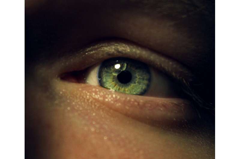 Rare Eye Cancer: New Treatment Buys Patients 8+ Years - Image 3