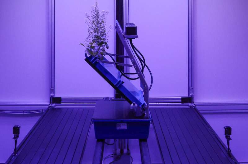 Robot Platform Sees Plant Roots Grow in Real Time - Image 3