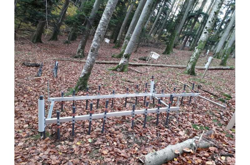 German Forests Absorb 3% More Methane Each Year - Image 5