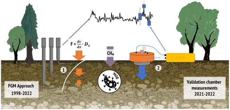German Forests Absorb 3% More Methane Each Year - Image 4