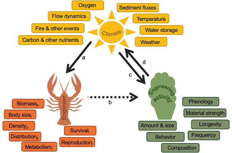 Rivers and Lakes Hold Key to Climate Resilience - Image 3