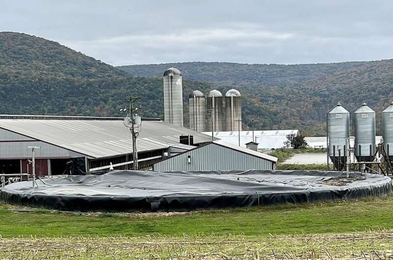 Pennsylvania Dairy Farms Cut Emissions 20% With New System - Image 3