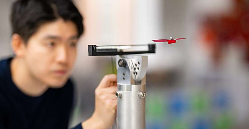 Nature's Genius: Grasshopper Wings Unlock Future of Energy-Efficient Flight - Image 3