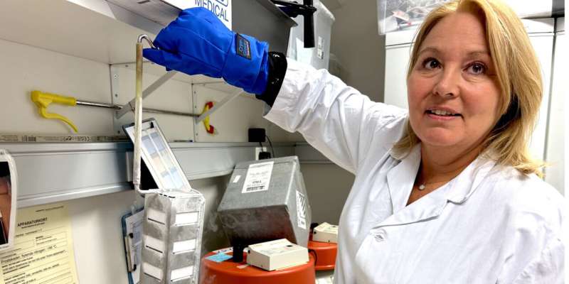 AI Tool Helps Doctors Spot Prostate Cancer More Accurately - Image 3