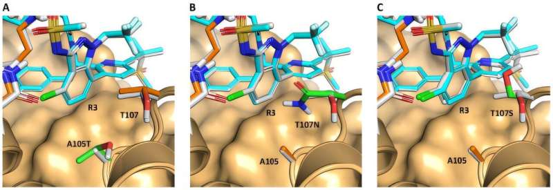 HIV Drug Resistance Comes With a Catch for the Virus - Image 2