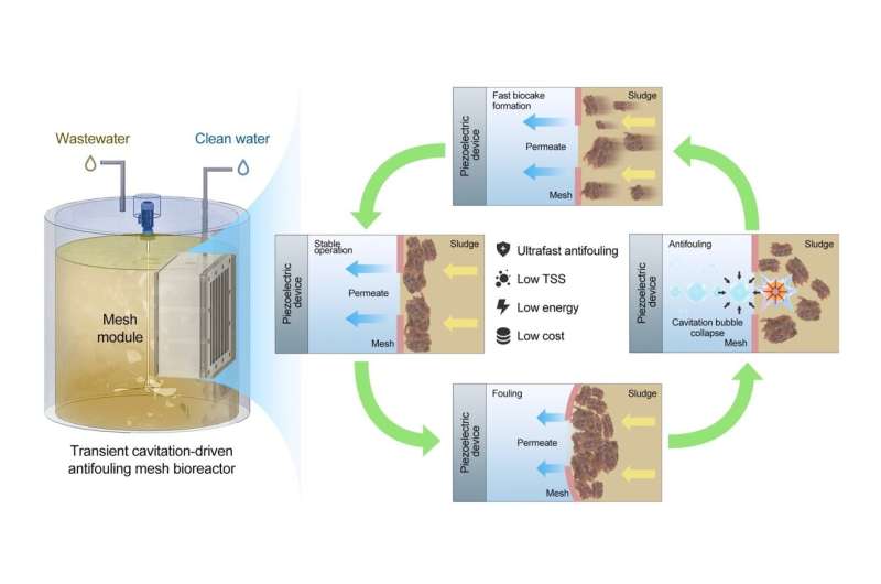 New Wastewater System Cuts Costs 50%, Boosts Efficiency 20x - Image 3