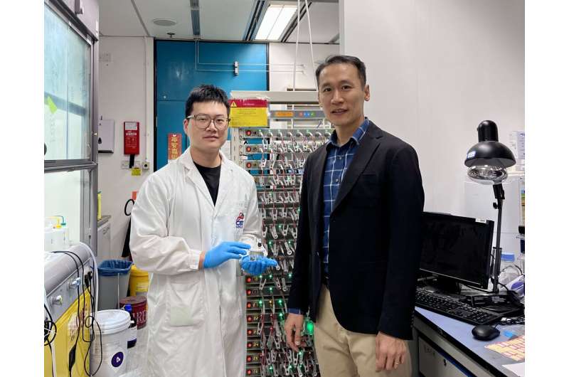 Calcium Batteries Hit 1,000 Cycles in Hong Kong Lab - Image 3