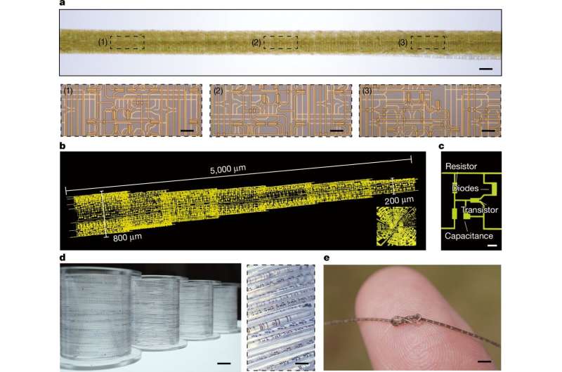 Scientists Roll Hair-Thin Chips Like Sushi for Smart Clothes - Image 3