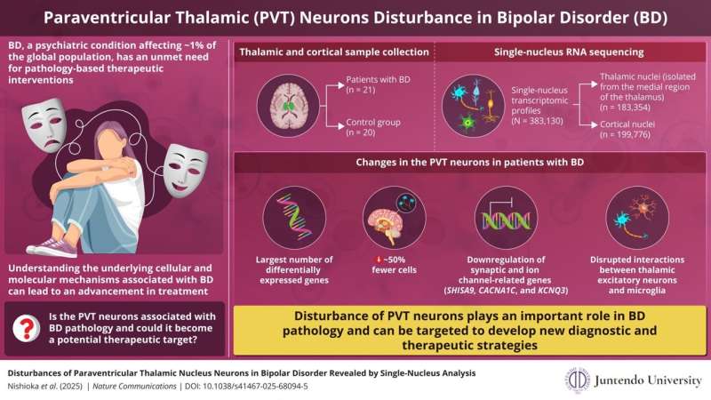 Brain Region Unlocks New Hope for Bipolar Disorder - Image 3