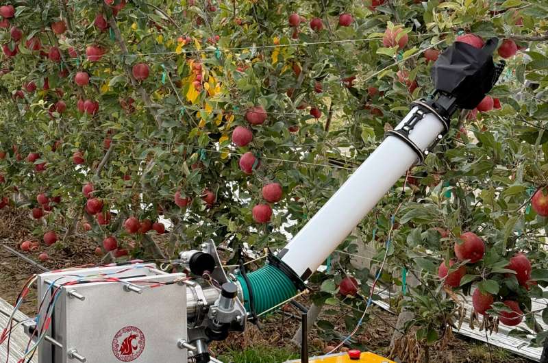 Innovative Inflatable Robot Brings Hope to Apple Farmers Facing Labor Challenges - Image 3