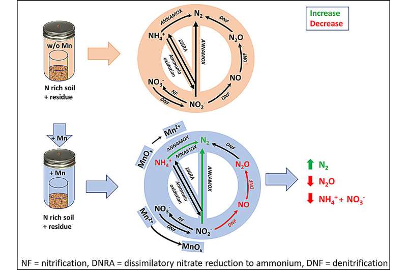 Simple Mineral Cuts Farm Pollution by 42% - Image 2