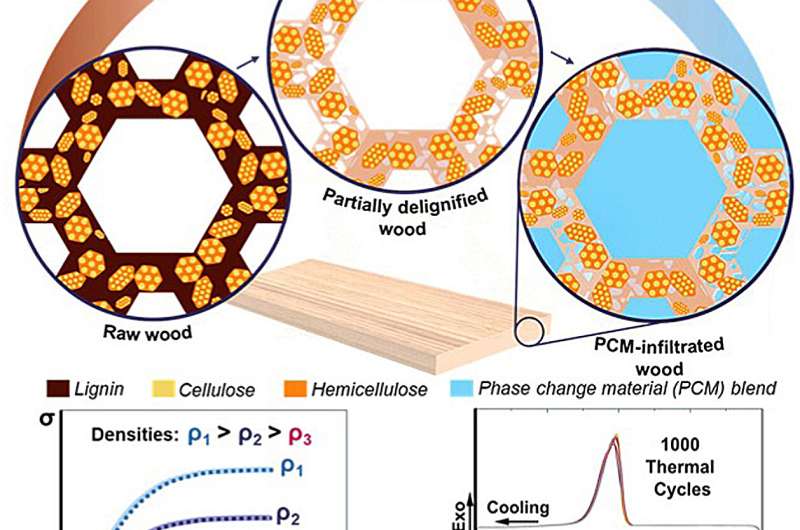 Wood Battery Stores Heat Without Electricity in Buildings - Image 4