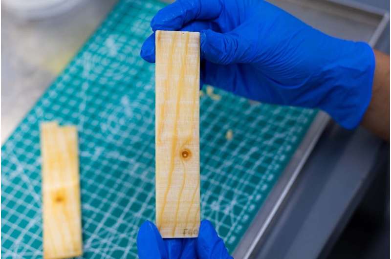 Wood Battery Stores Heat Without Electricity in Buildings - Image 3