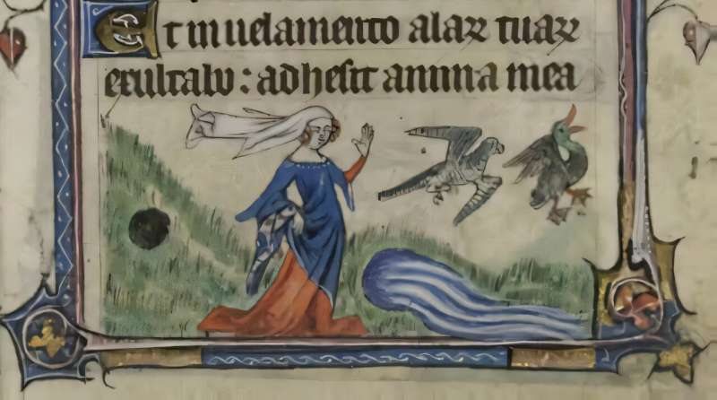 Medieval Women Mastered Falconry to Claim Real Power - Image 2
