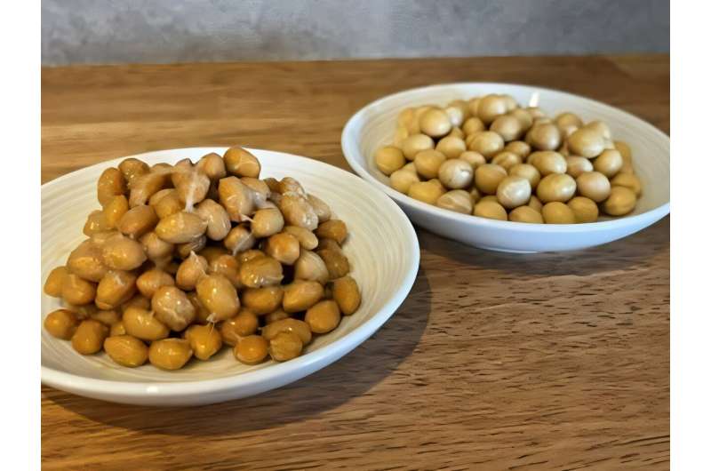 Natto Fermentation Creates Health-Boosting Molecules - Image 2