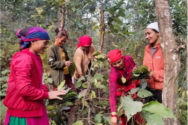Nepal Doubled Forest Cover But Left the Poor Behind - Image 2