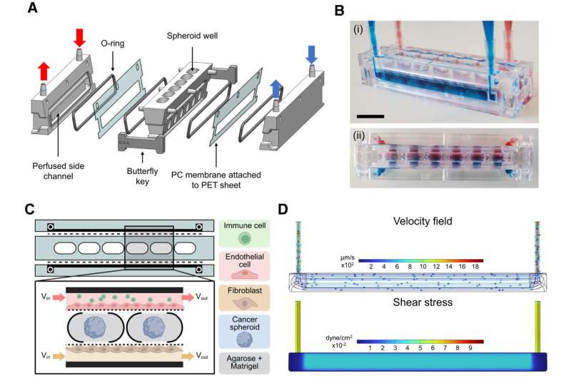 Lab Chip Replaces Animal Testing in Cancer Research - Image 3