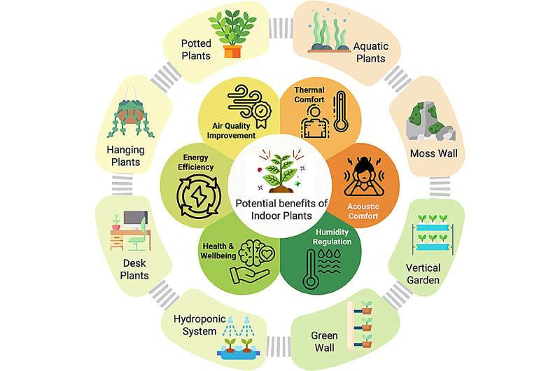 Indoor Plants Make Homes 2° Cooler and Filter Air Quality - Image 2