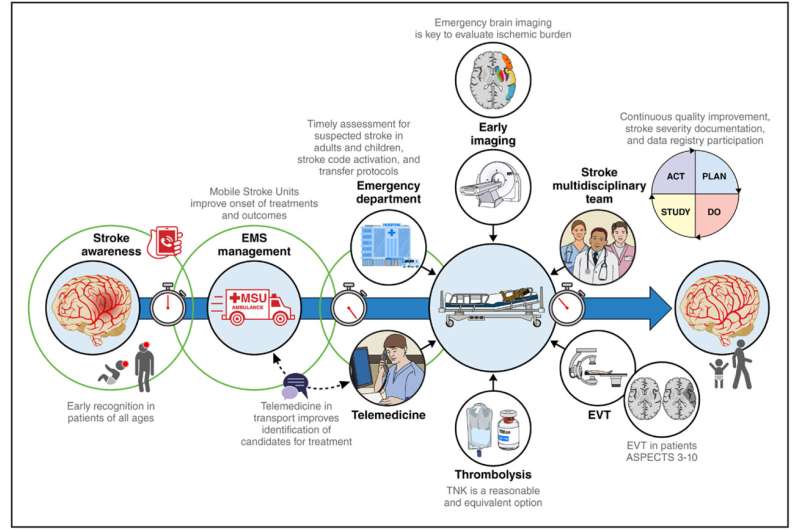 New Stroke Guidelines Expand Life-Saving Treatment Access - Image 3
