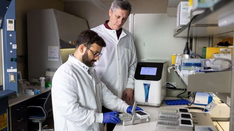 New Liver Chip Could Save Years in Drug Testing - Image 3