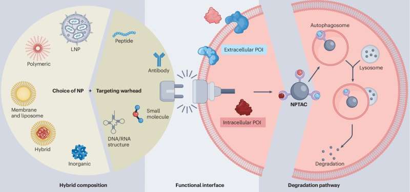 Scientists Create Nanoparticles That Attack Brain Cancer - Image 3