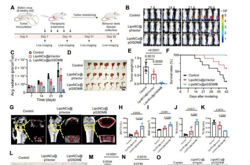 New Nano-Drug Slashes Bone Cancer Pain by 94% in Mice - Image 4