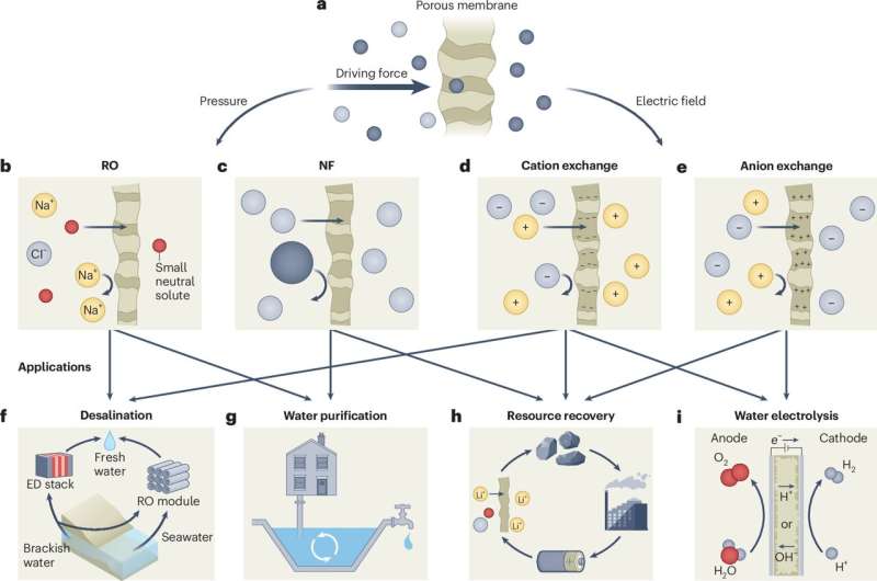 Rice Scientists Crack Code for Next-Gen Water Filters - Image 3