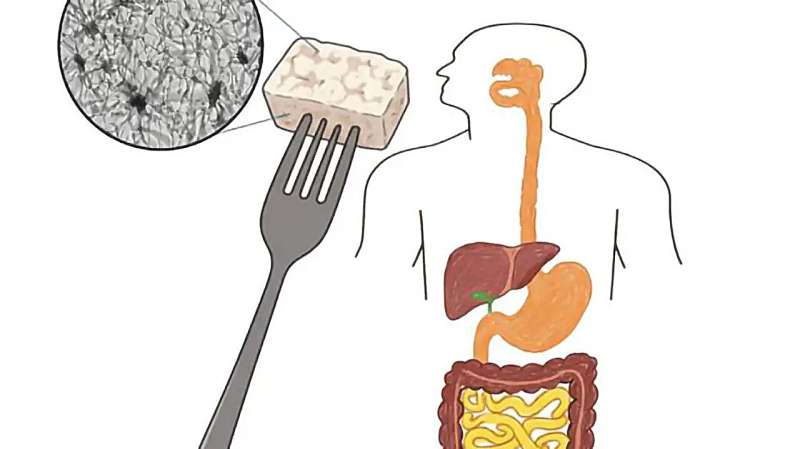 Fungi Protein Digests as Well as Chicken, Study Finds - Image 2