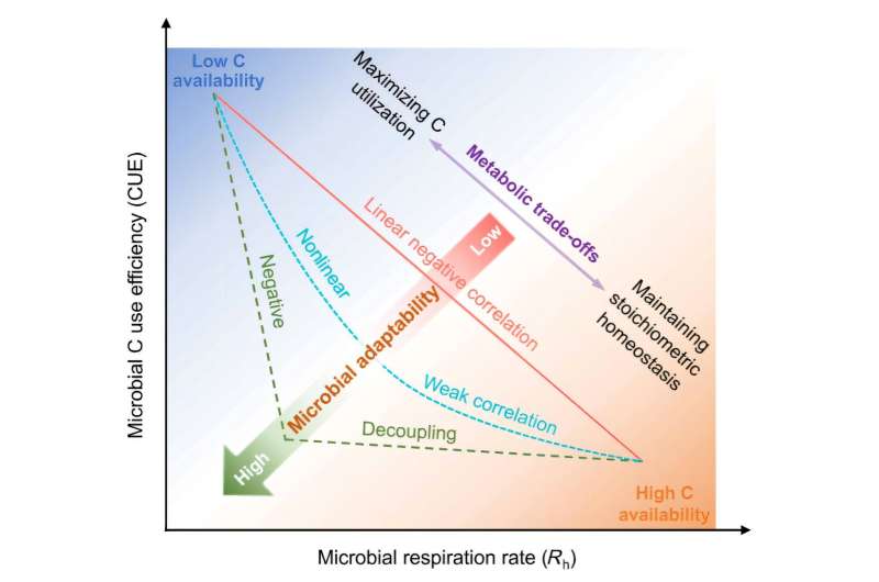 Soil Microbes May Store More Carbon Than Scientists Thought - Image 2