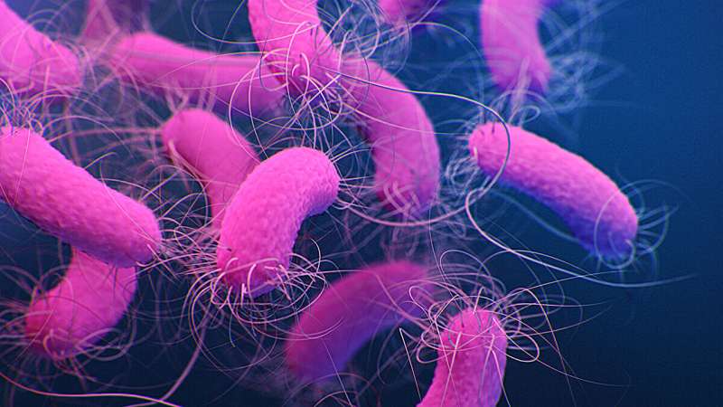 Light Could Stop Dangerous Hospital Infections - Image 2