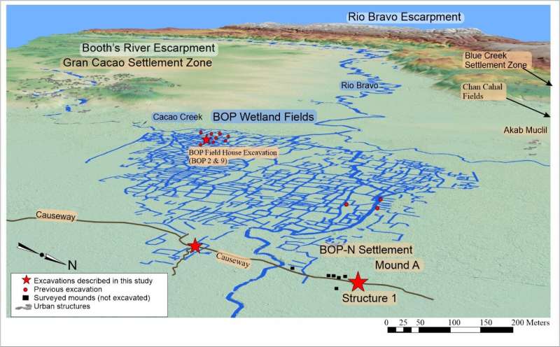 Ancient Maya Adapted to Climate Change in Hidden Wetlands - Image 2