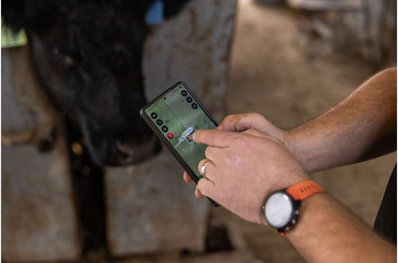 Missouri Farmers Double Grazing With GPS Cattle Collars - Image 4