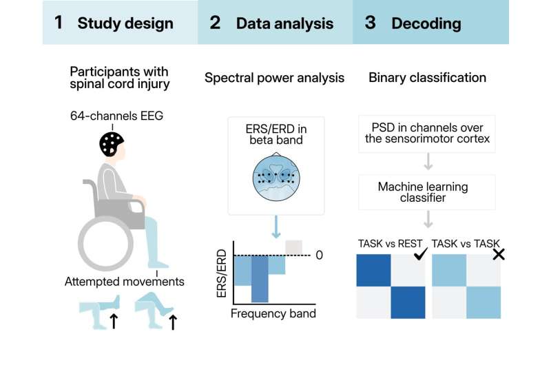 Brain Cap Could Help Paralyzed Patients Walk Again - Image 4