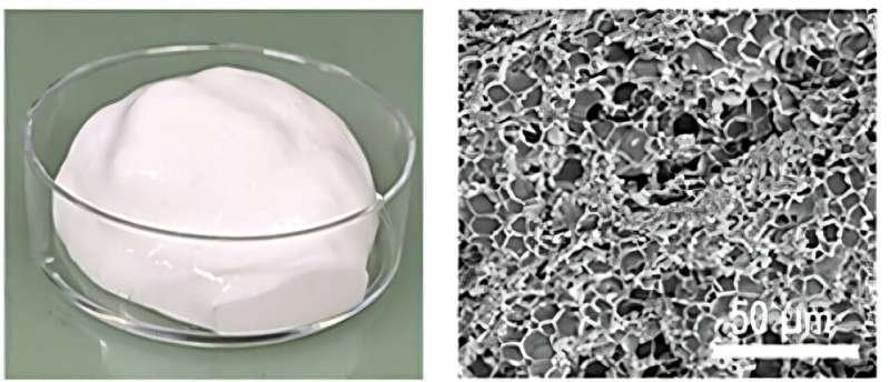 Scientists Use Egg White Chemistry to Double Battery Power - Image 2