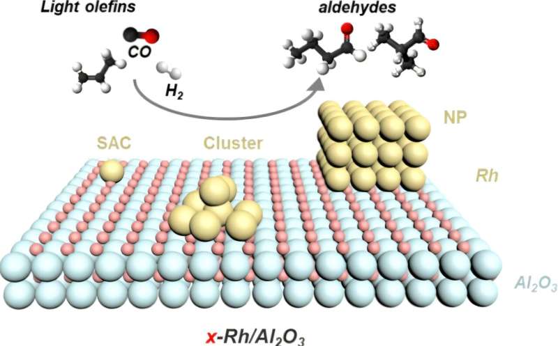 Scientists Find 'Just Right' Size for Reusable Catalysts - Image 2