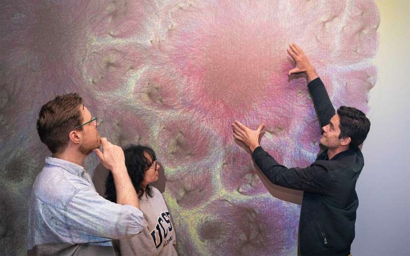 Computer Model Predicts Which Probiotics Work for You - Image 3