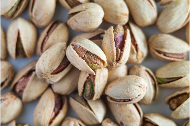 UC Davis Cracks the Code on Pistachio Hull Protection - Image 3