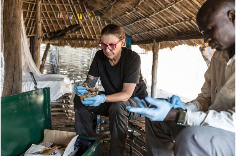 Senegal's Chimps Use Spears and Offer Clues to Our Past - Image 2