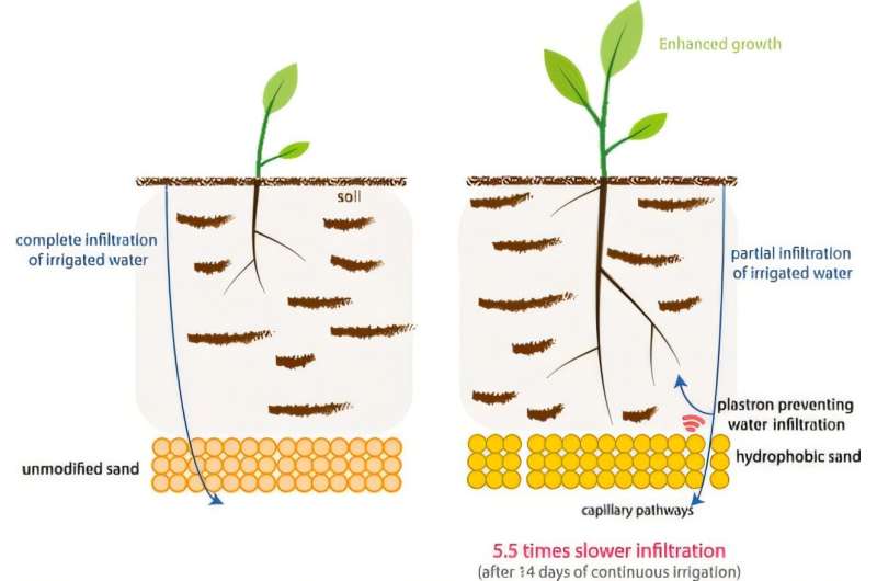 Brilliant Water-Saving Innovation Doubles Plant Growth During Droughts - Image 2