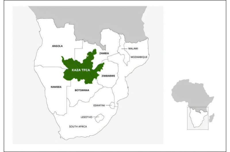 Southern Africa to Remove Fences, Restore Wildlife Routes - Image 3