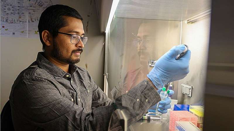 Brain Clue Could Speed Up Leigh Syndrome Diagnosis - Image 2