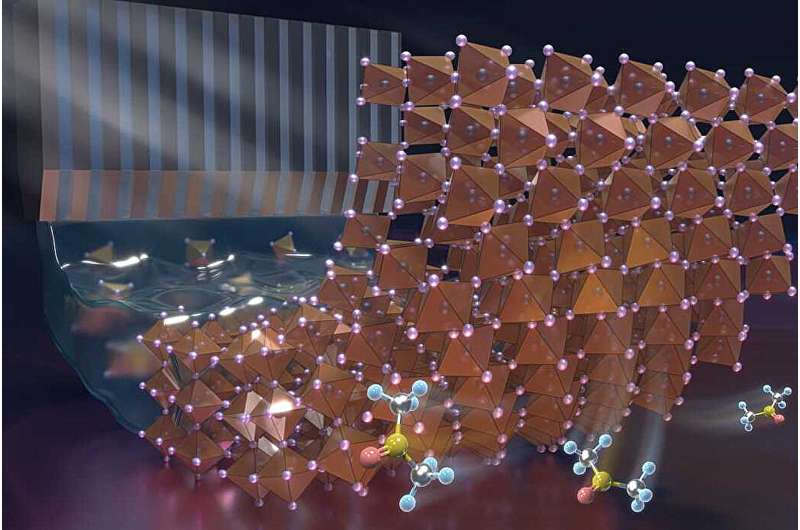 Solar Breakthrough Achieves 23% Efficiency at 50cm Scale - Image 2